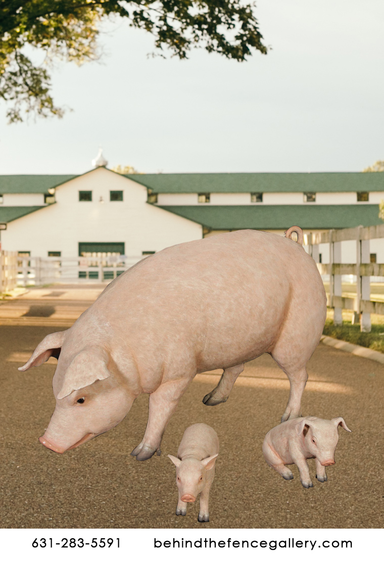 Adorable Pig Family Adorable Pig Family